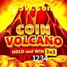 Experiência VIP Bet1234